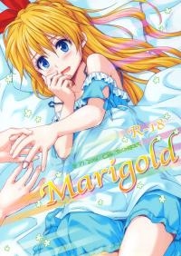 v22m-Marigold