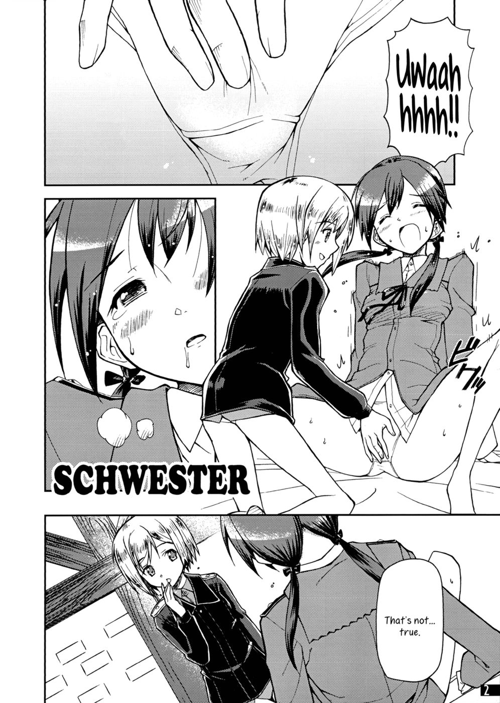 Hentai Manga Comic-SCHWESTER-Read-3