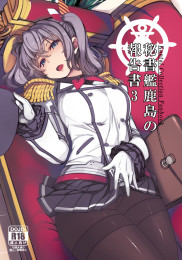 Report of the Secretary Kashima 3